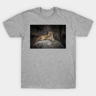 A Lioness Perch T-Shirt